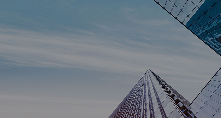 業(yè)務(wù)范圍